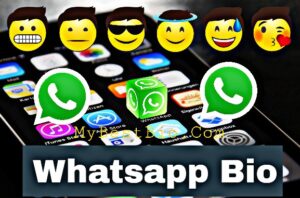 Whatsapp bio