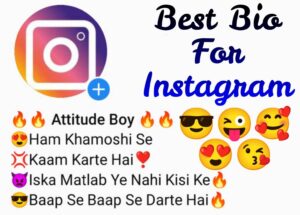 Bio for Instagram for Boy Attitude in Hindi