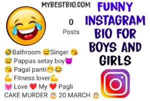 Funny bio for instagram