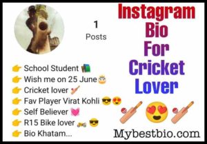 Cricket Lover bio for Instagram