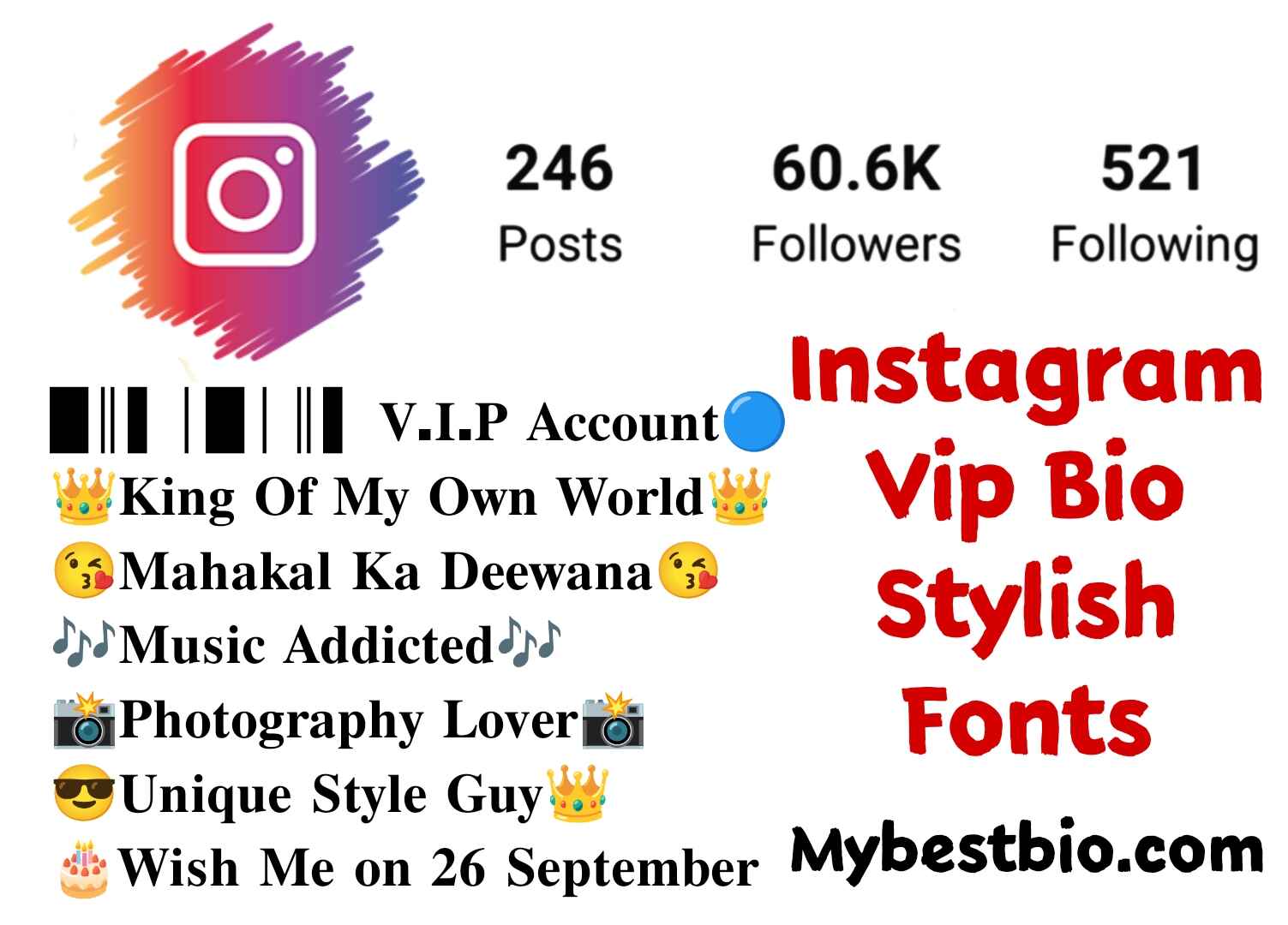 instagram vip bio stylish font
