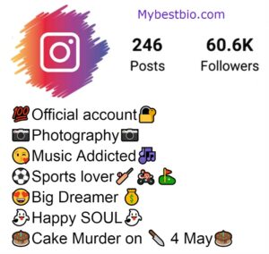 Instagram Par Bio Me Kya Likhe