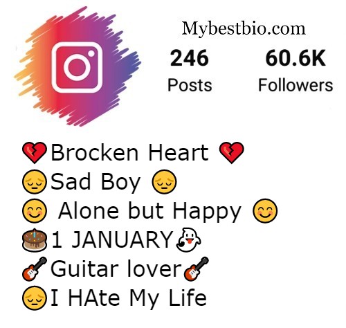 Brocken Heart Bio For Instagram