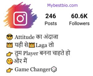 Attitude Instagram Bio Hindi