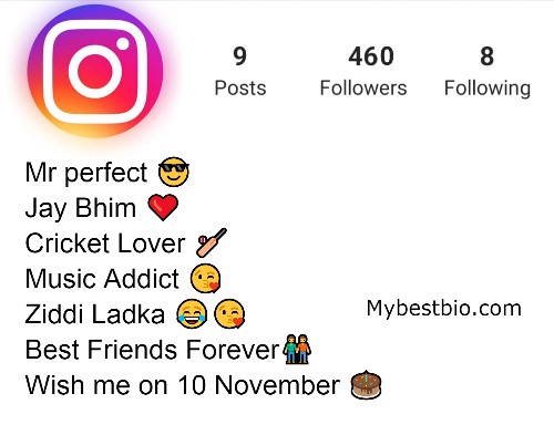 Instagram Bio Jay Bhim