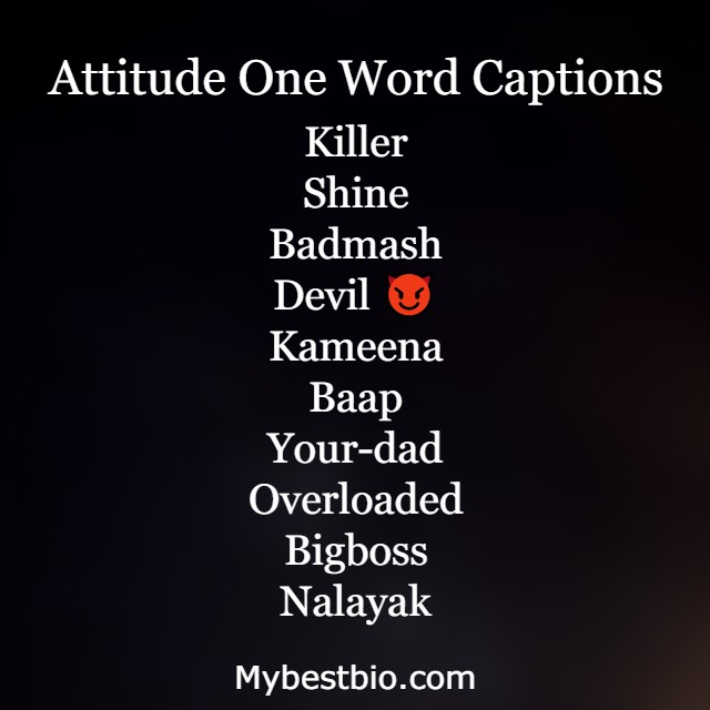 Attitude One Word Captions For Instagram