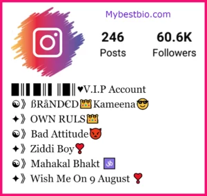 Vip Account Instagram Bio
